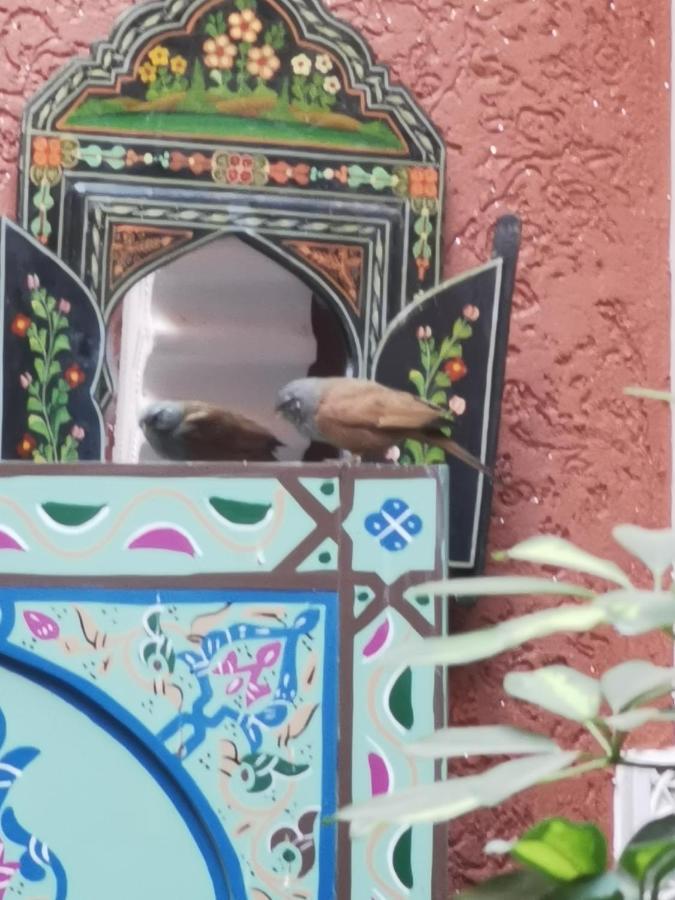 Dar Al Hayat Villa Marrakesh Exteriör bild